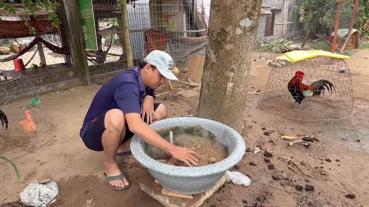 Hôm nay tập chung làm chậu cá thủy sinh hé ae