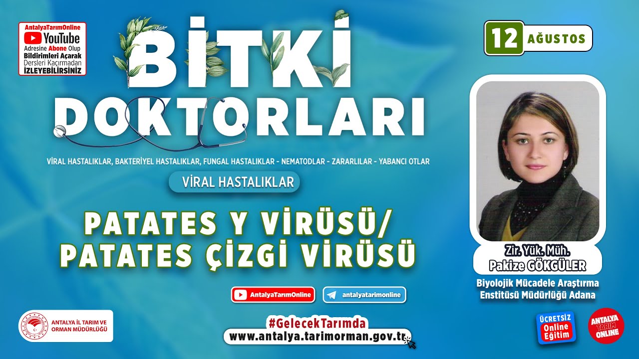 Bitki Doktorları 65 - Patates Y Virüsü/ Patates Çizgi Virüsü ve Mücadelesi