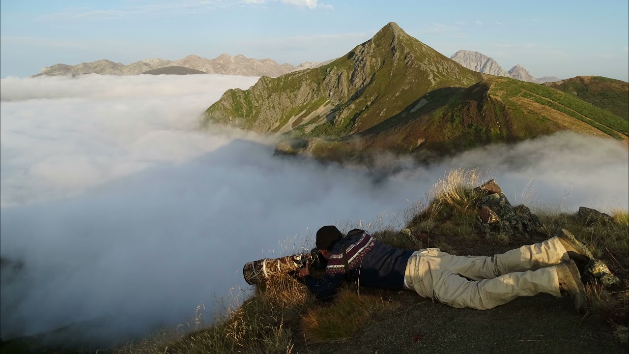 Las Navariegas - pico el AGUILA, Teverga, Asturias / LOBOS