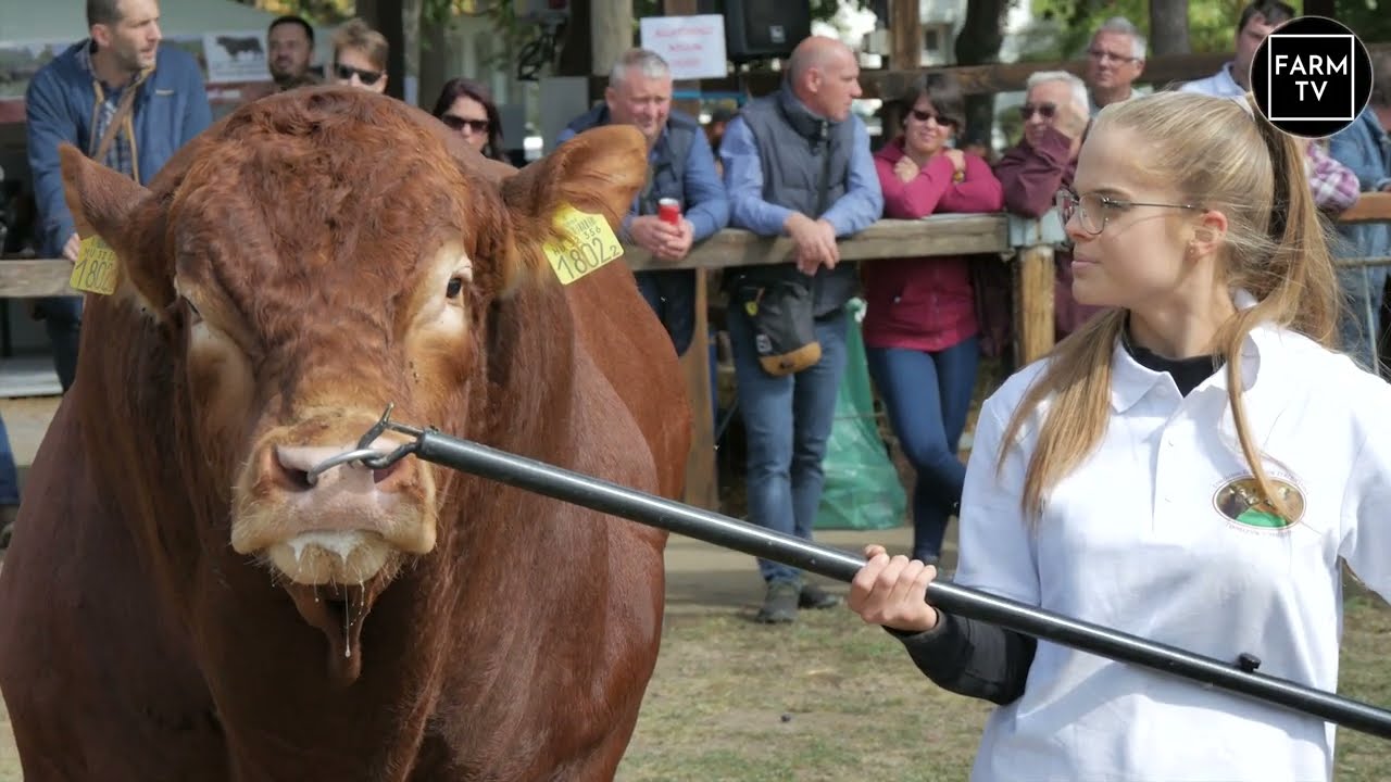Hogyan &aacute;ll&iacute;tsunk elő minős&eacute;gi h&uacute;smarh&aacute;t? / FARM TV H&iacute;r