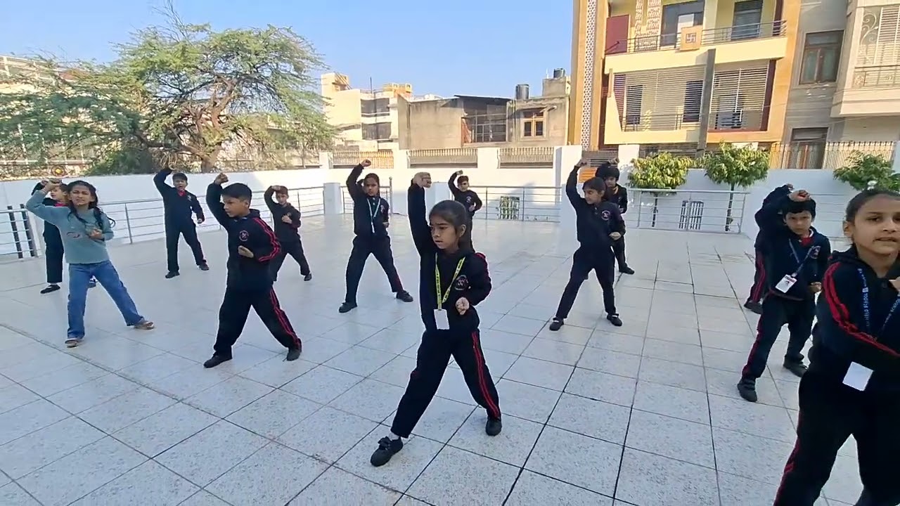 Karate Kata Pinan Nidan #viral #trending 