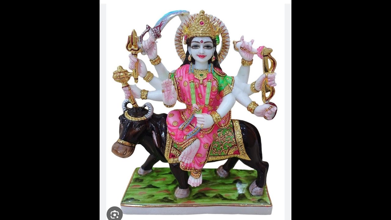 GAYATRI HAVAN & VARAH I MATAJI NA GARBA ( KALOL, KALIYANPURA ) 02