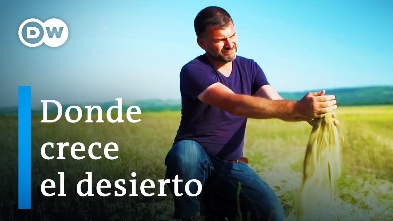 Cambio climático en Rumania | DW Documental