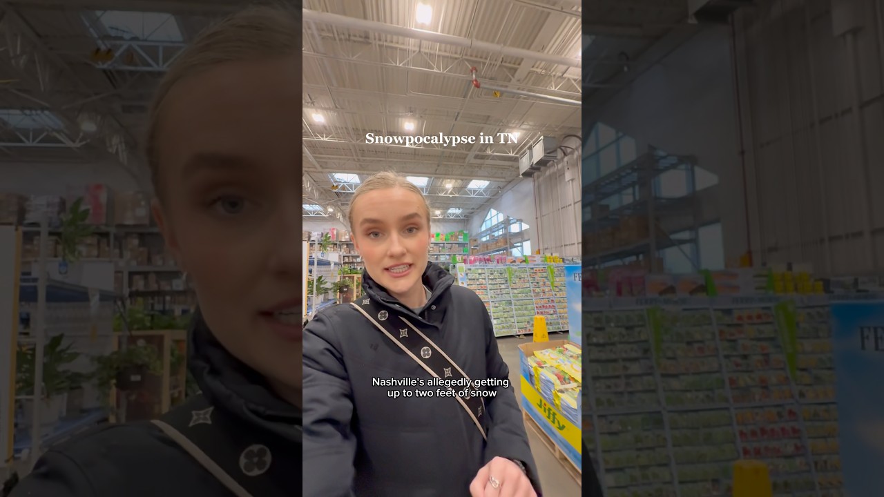 Снежный апокалипсис в Теннесси ☃️ #теннесси #снежнаябуря