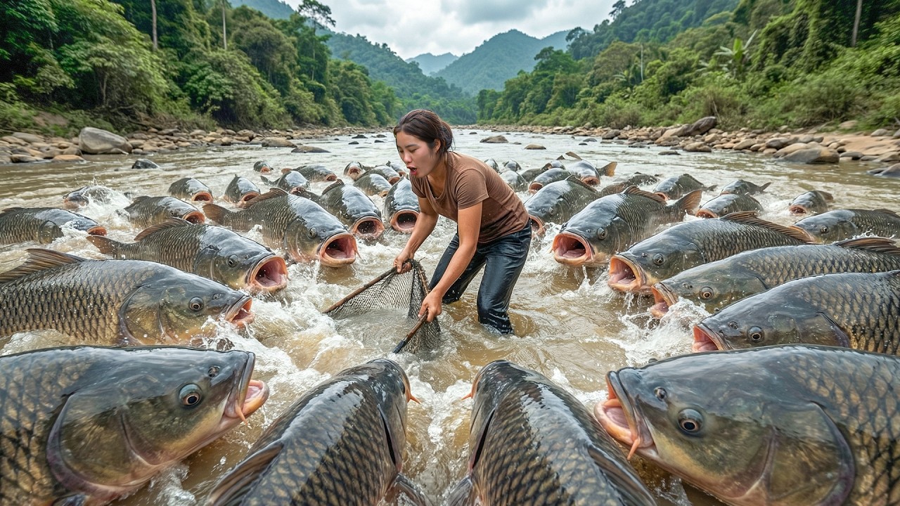 How to Catch Giant Fish with Nets to Sell at Market with Single mom