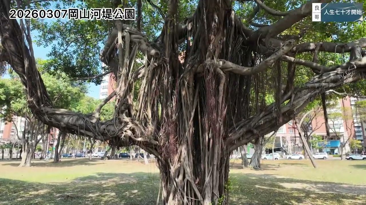 20260307岡山河堤公園