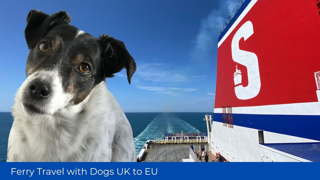 Pet Ferry Travel - To the EU from the UK