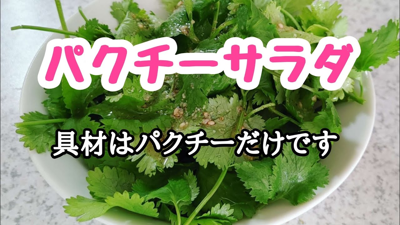 【手作り】簡単に出来るパクチーサラダとドレッシング🍀