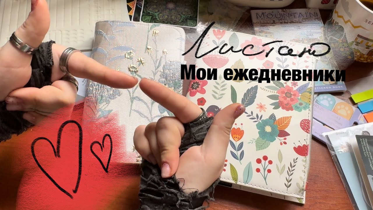Как я веду два ежедневника | моя система планирования