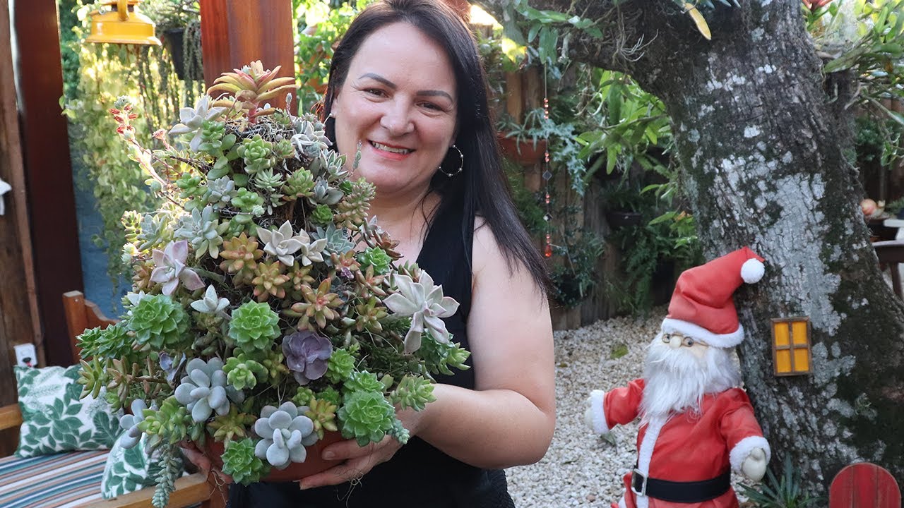 UM ARRANJO DE NATAL CHEIO DE SUCULENTAS