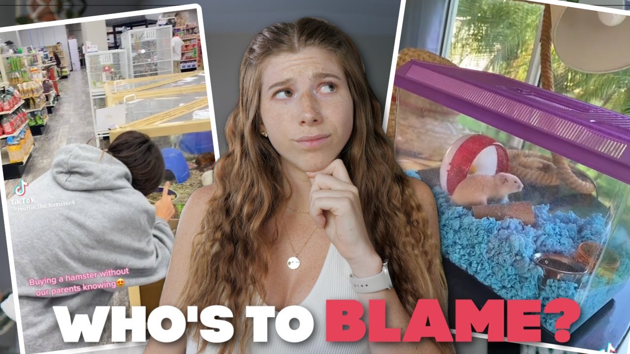 Who's to Blame? Owners, Brands or PetStores?
