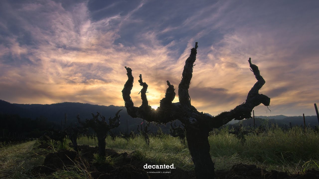 Decanted. - Film Preview