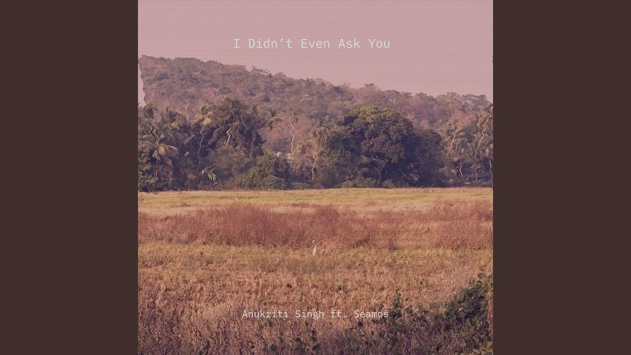 I Didn't Even Ask You (feat. Seamos)