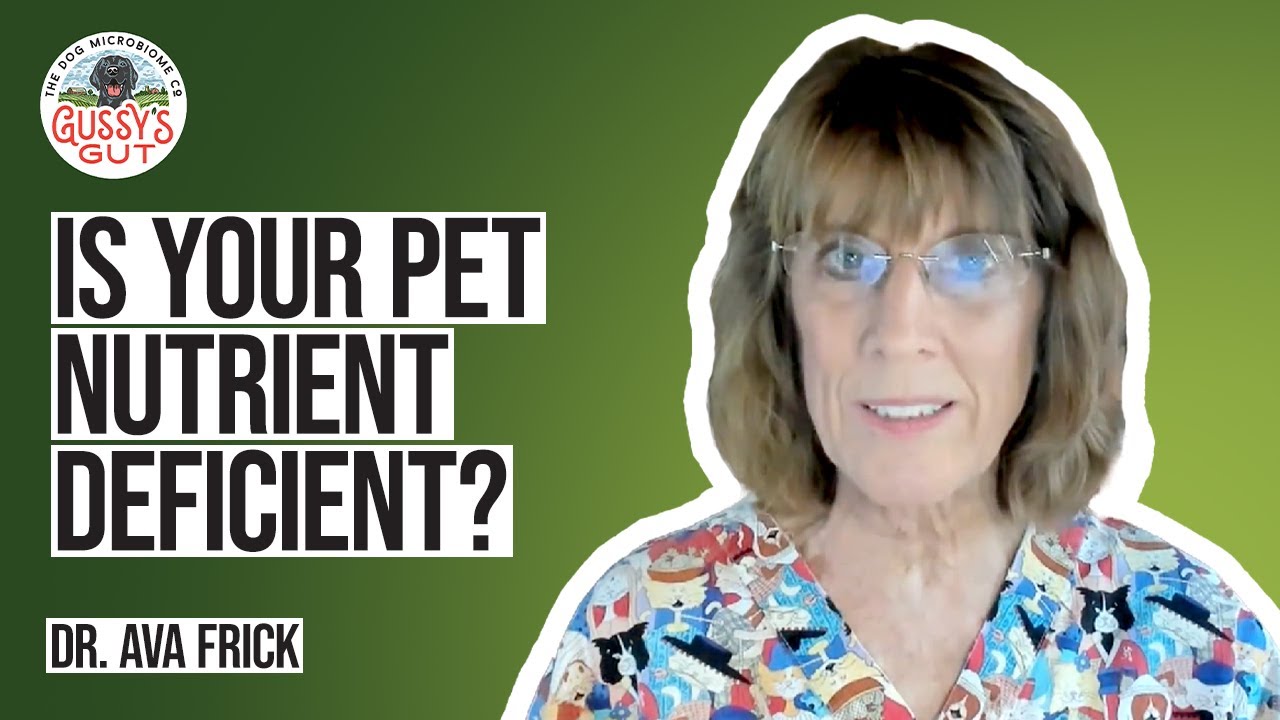 Uncovering Pet Health Secrets Through Hair Analysis | Dr. Ava Frick