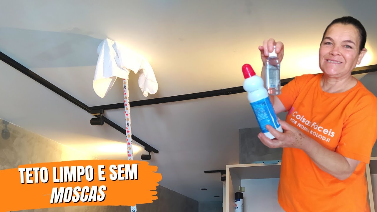 Teto de gesso sujo e com mosquinhas? Veja como limpar sem estragar o gesso| Coisas Fáceis