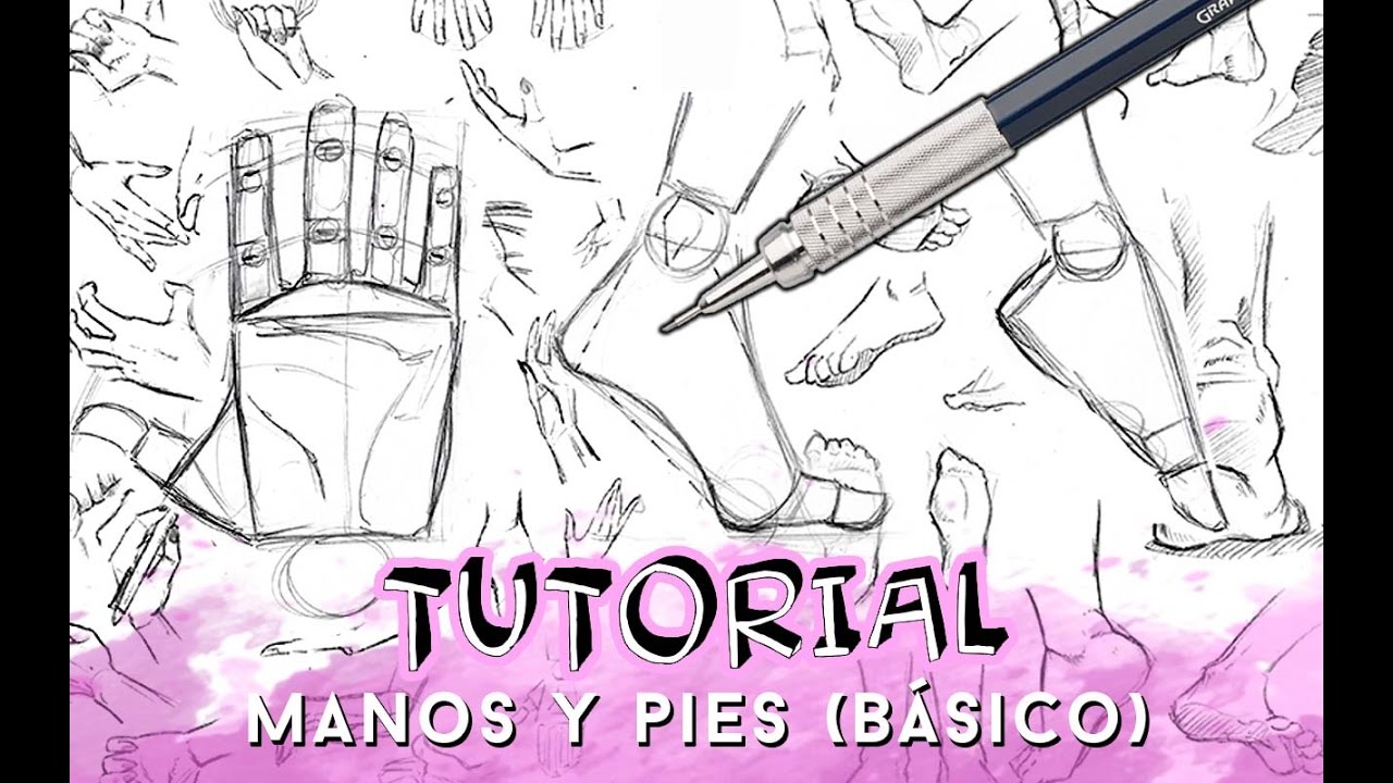 COMO DIBUJAR MANOS Y PIES (NIVEL BÁSICO) | Why So Gurin