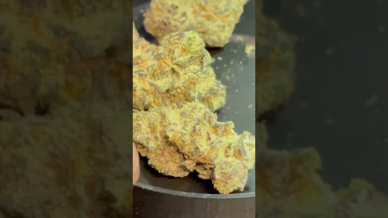 Cloud Ponics THCA: Secret Recipe (👨&zwj;🍳🤫🤐)