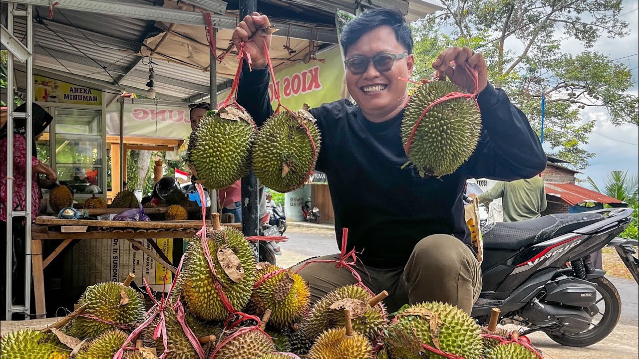 PERJALAN KE KEBUN DURIAN PAK PENI SEGULUNG #abangkurus #panendurian #durianlokal 
