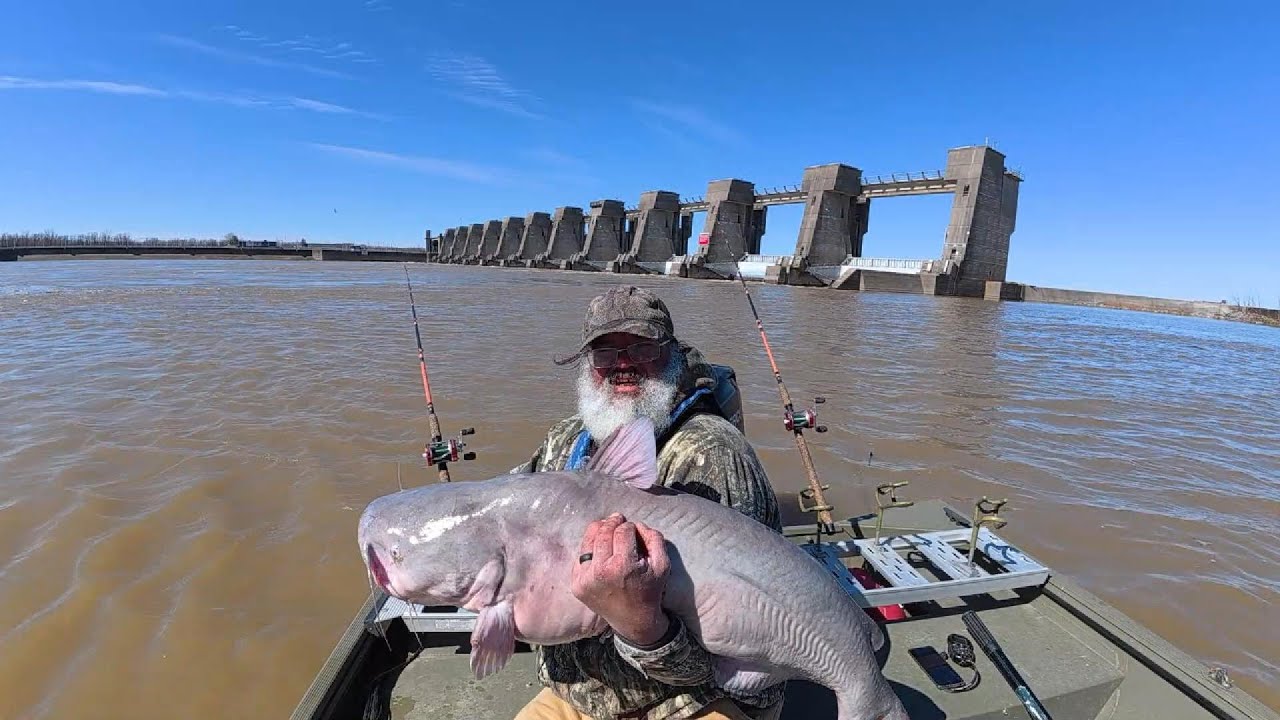 Catfish Love When You do This to Your Bait