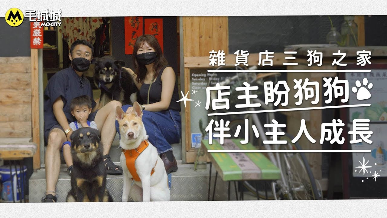【寵物店長之日常】雜貨店三狗之家 店主盼狗狗伴小主人成長