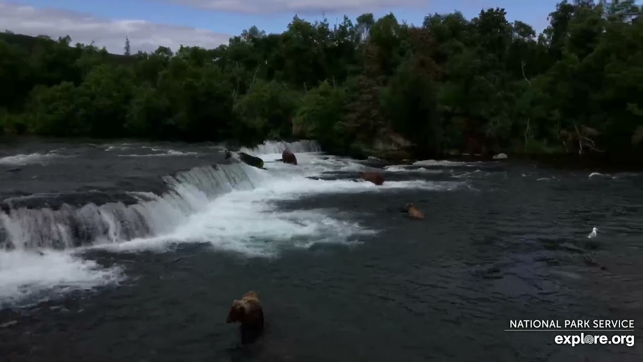 Live Bear Broadcast Booth! - MIKE FITZ/Naomi Boak go Play by Play at Brooks Falls! July 10th, 2021