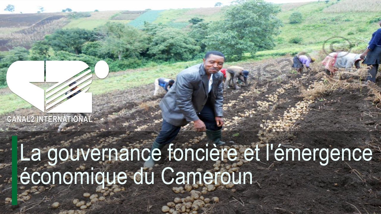 La gouvernance foncière et l'émergence économique du Cameroun ( 100% ECO du Mercredi 02/10/2024 )