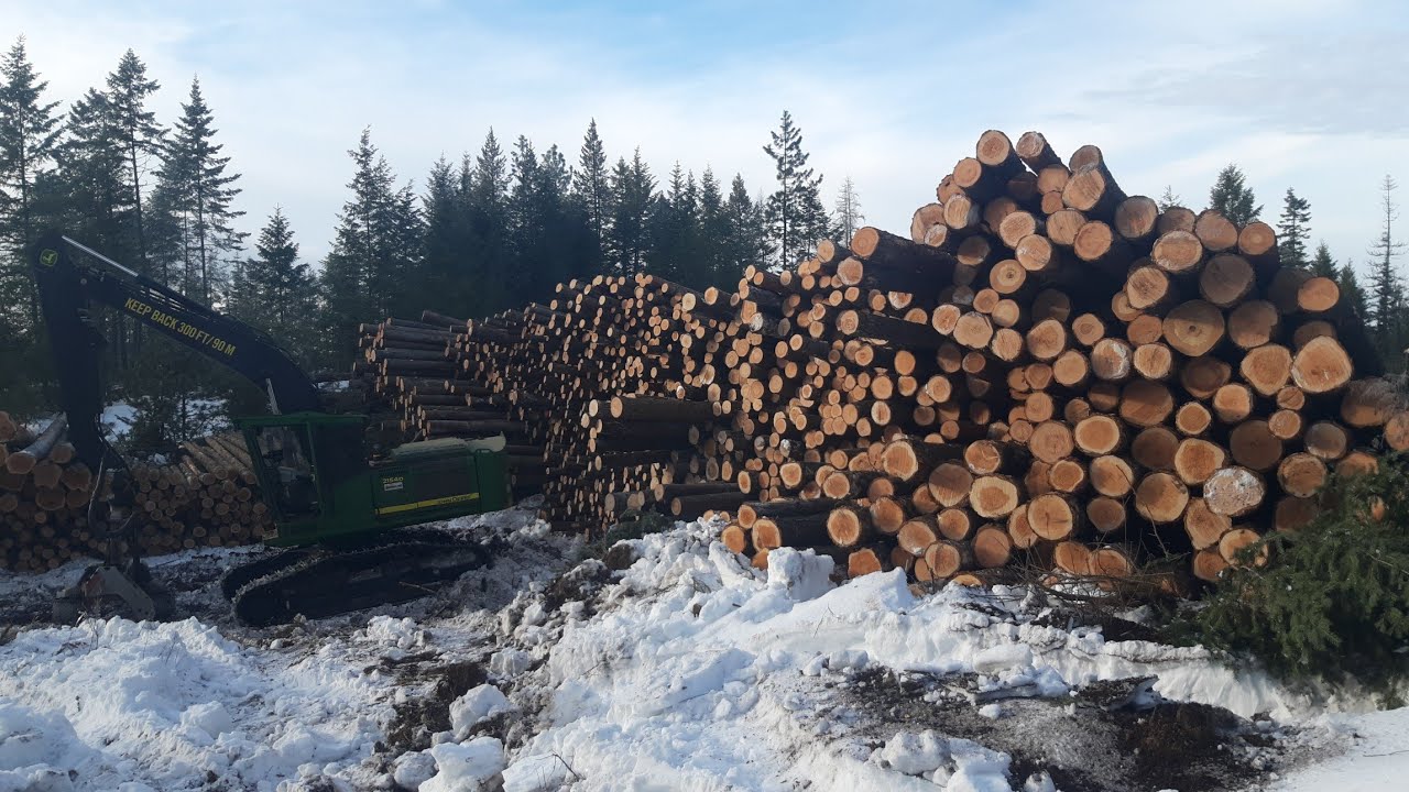 logging with a dangle head and skidder.
