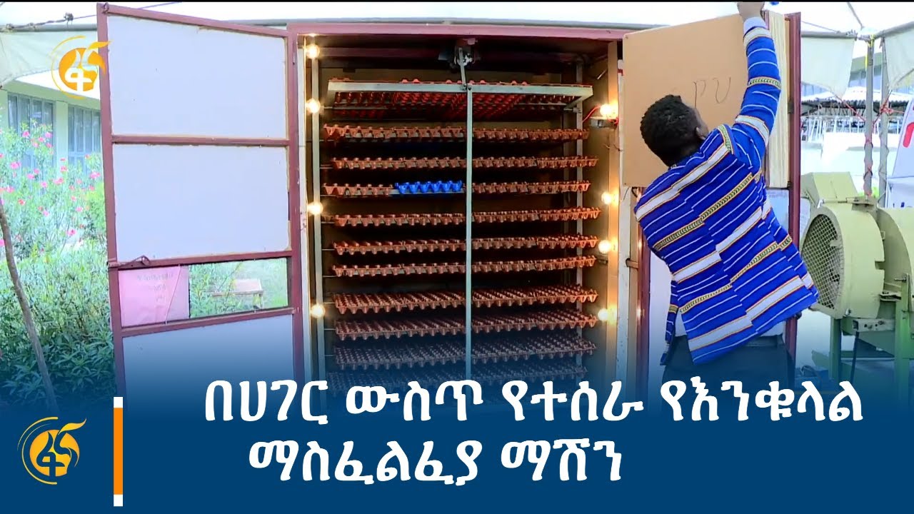 በሀገር ውስጥ የተሰራ የእንቁላል ማስፈልፈያ ማሽን