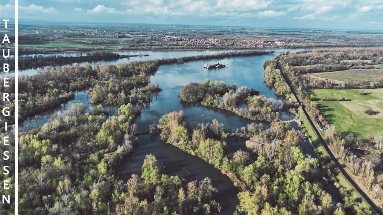 Réserve de Taubergiessen, en Allemagne