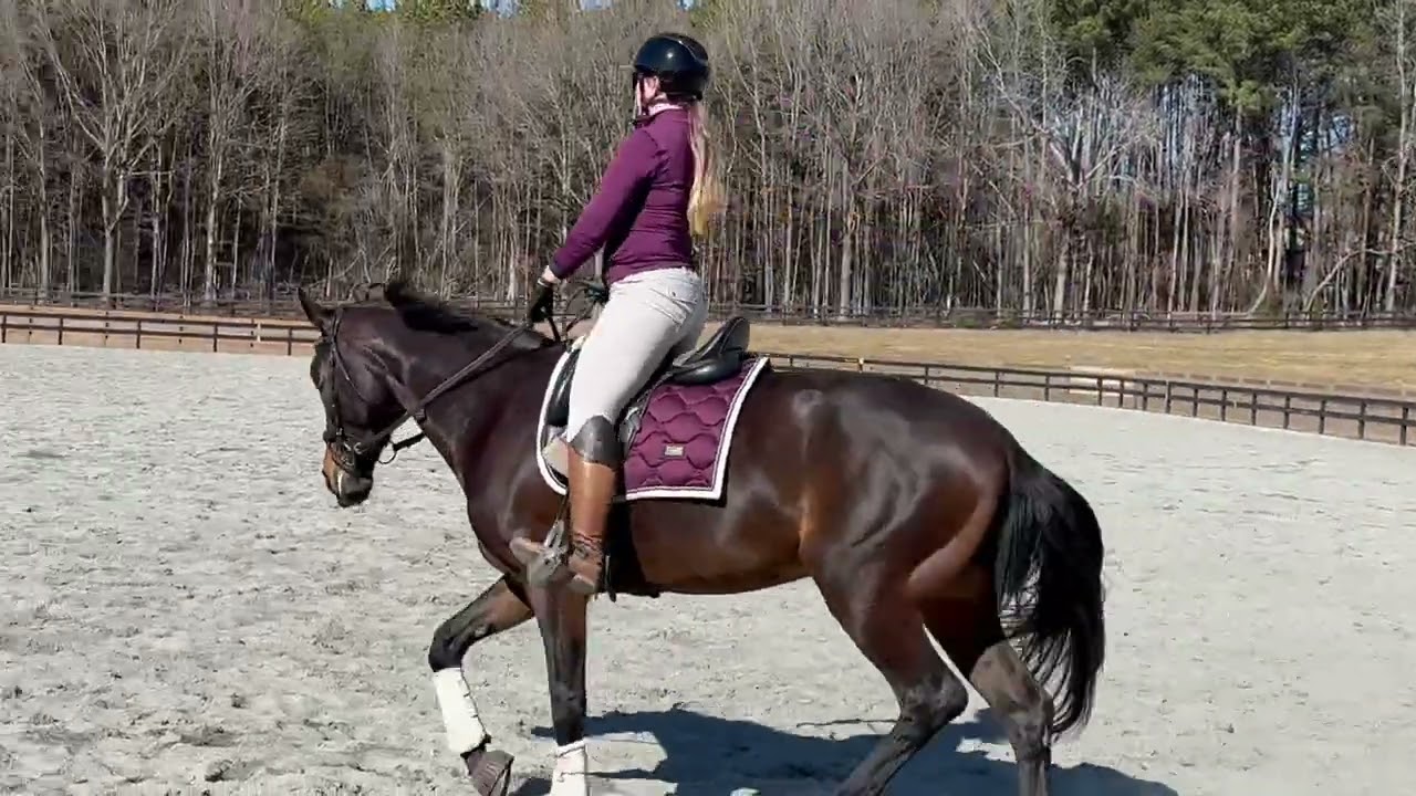 Sonderbak’s Naomi 2/13/26