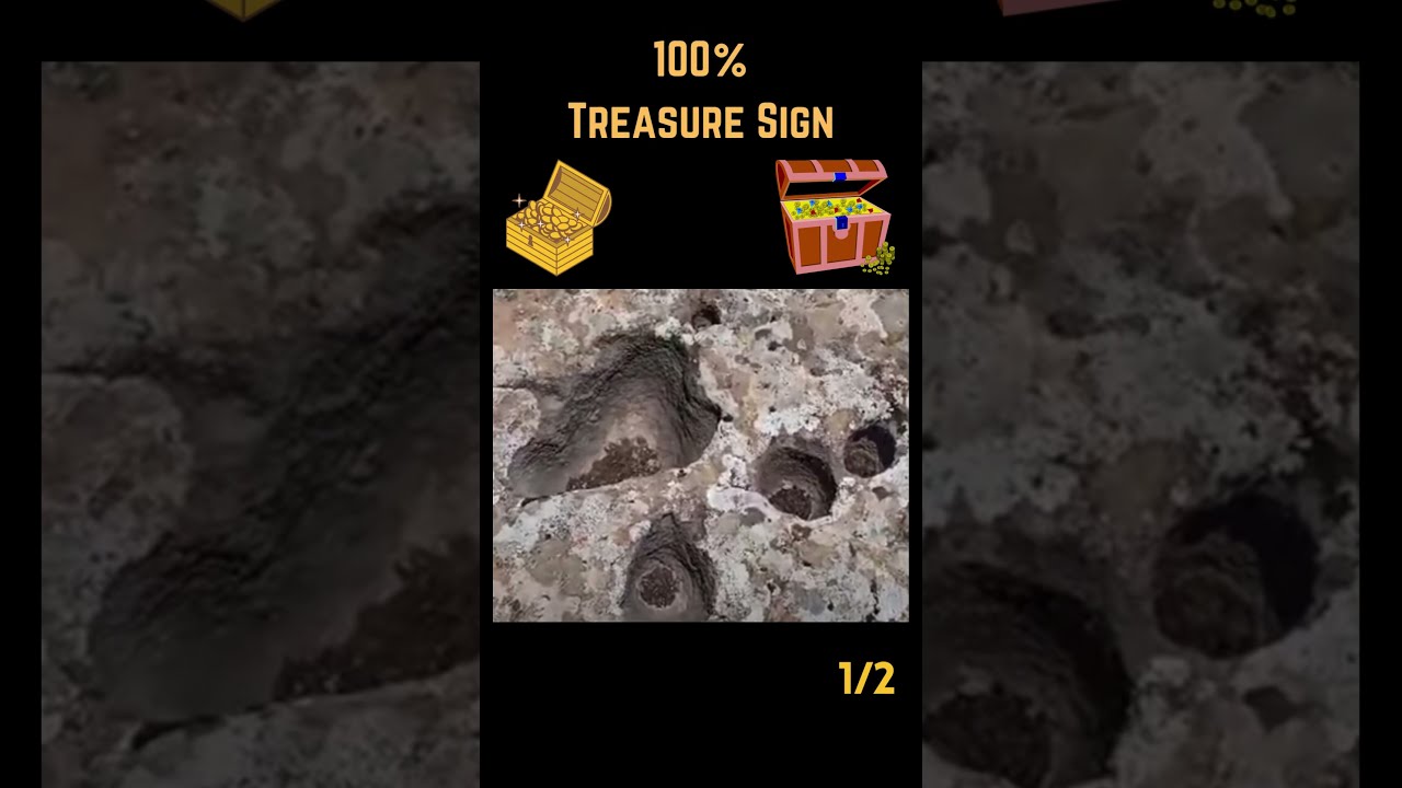 100% Treasure Signs #22         #shorts #metaldetecting