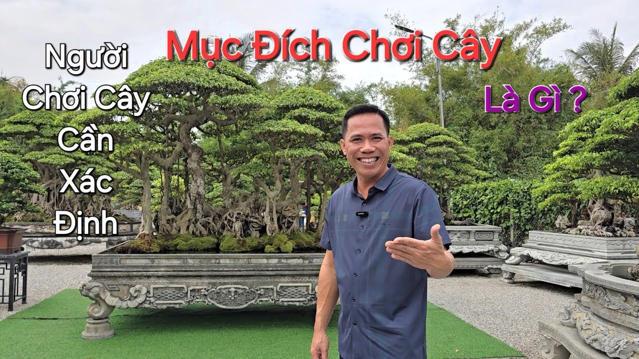 Anh THÙY CS người mới trước khi chơi cây NÊN XÁC ĐỊNH * MỤC ĐÍCH * vào chơi cây là gì ? 