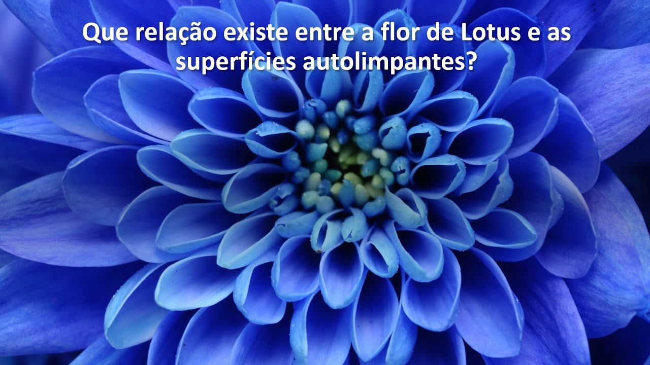 Superf&iacute;cies Autolimpantes