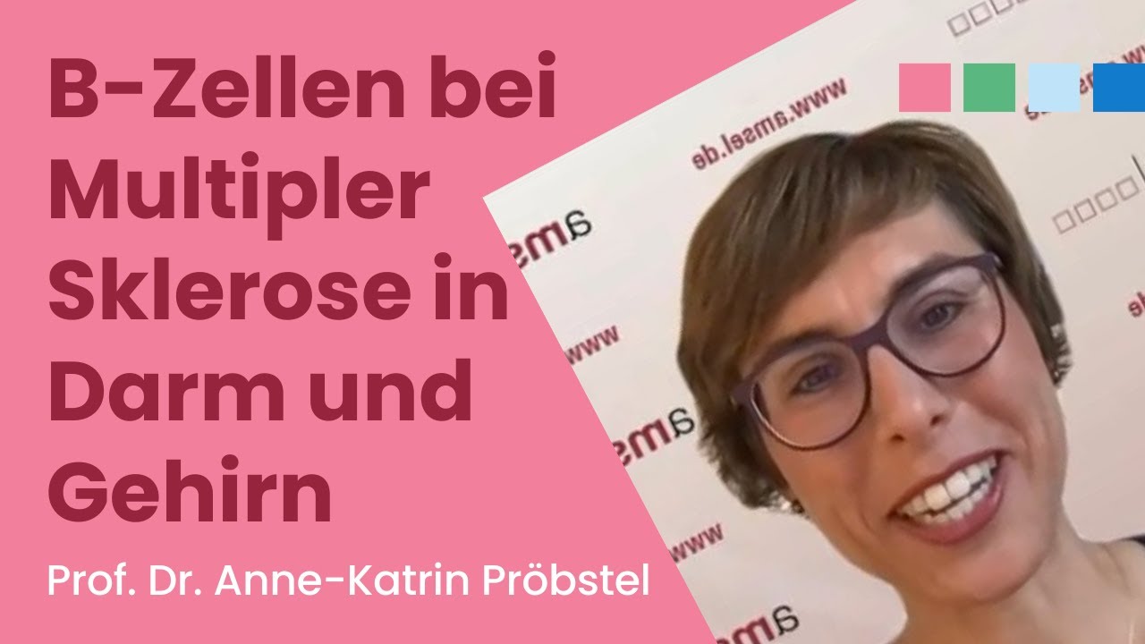 B-Zellen bei Multipler Sklerose in Darm und Gehirn – Prof. Dr. Anne-Katrin Pröbstel