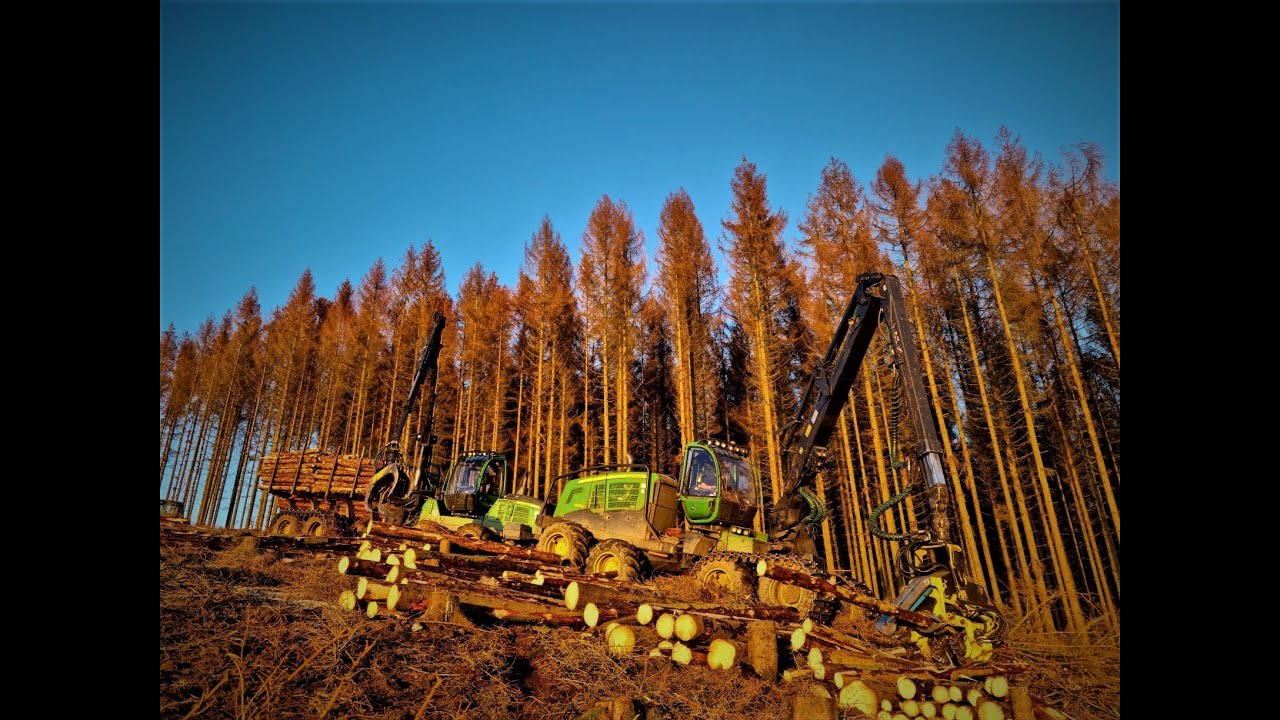 🌲John Deere 1270G & 1210G • Forstunternehmen Oberhauser • Harvester & Forwarder🌲