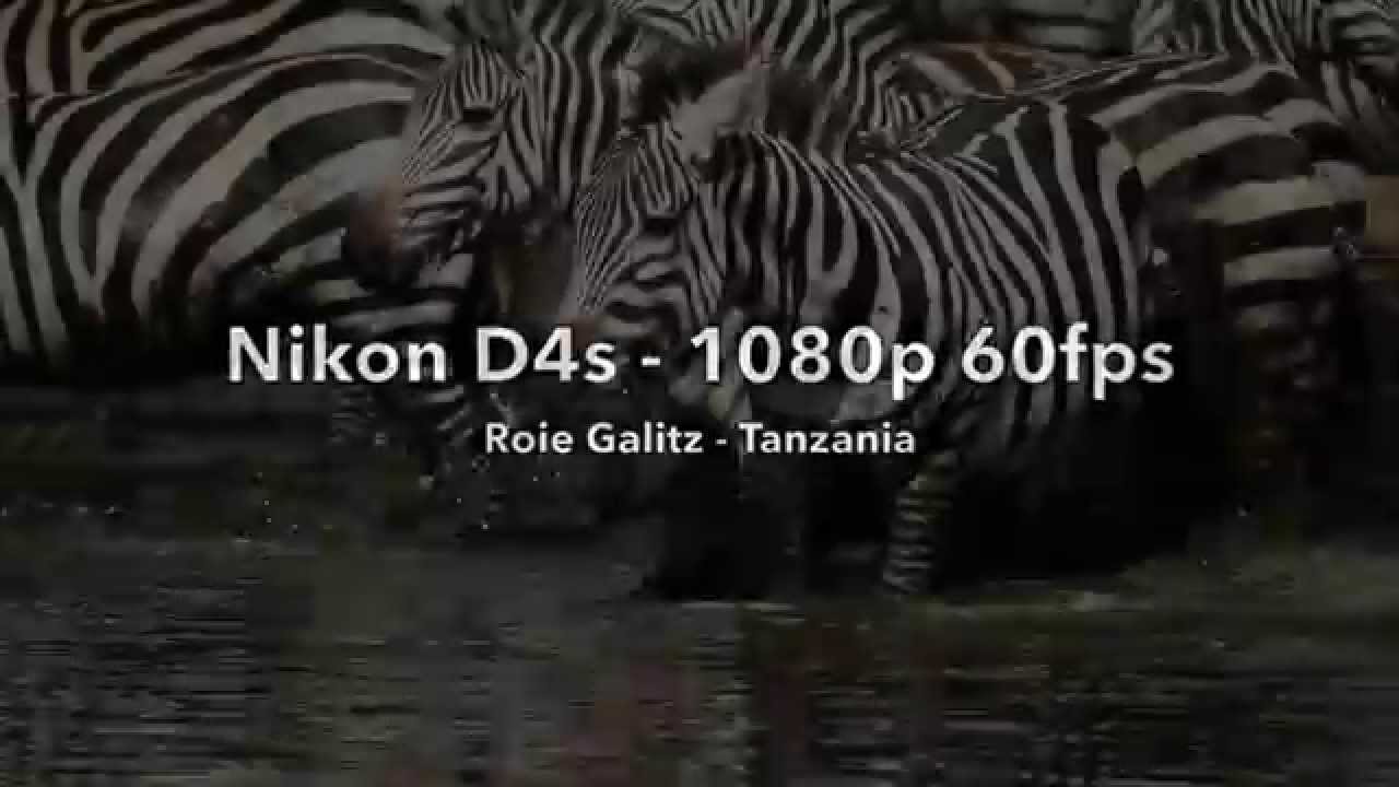 Nikon D4s video 1080p 60fps demo