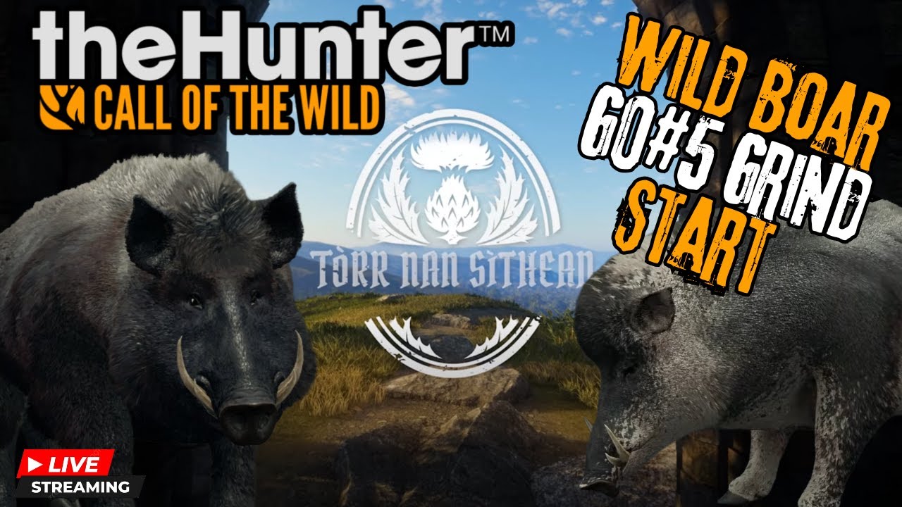 Let's Start Hunting Wild Boar GO#5!!  SCOTLAND MAP!!