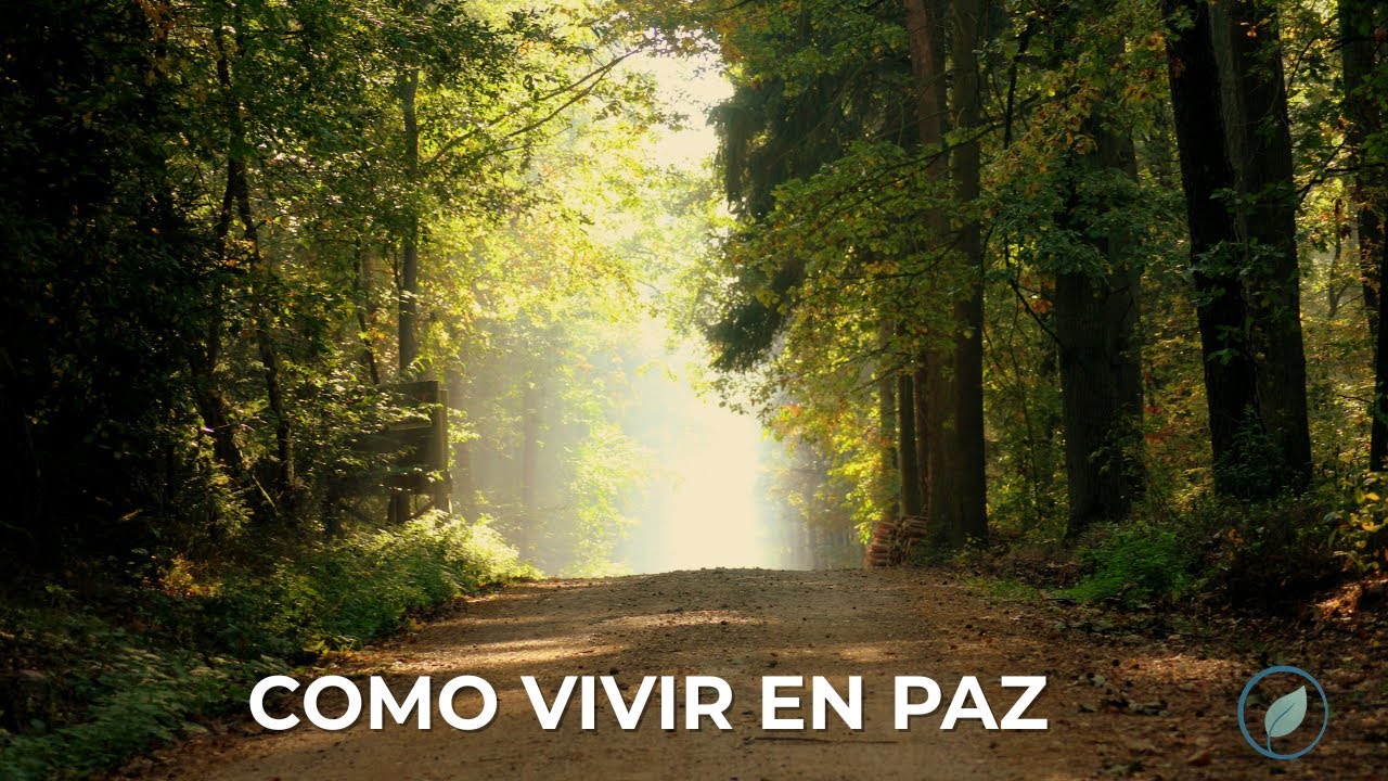 COMO VIVIR EN PAZ