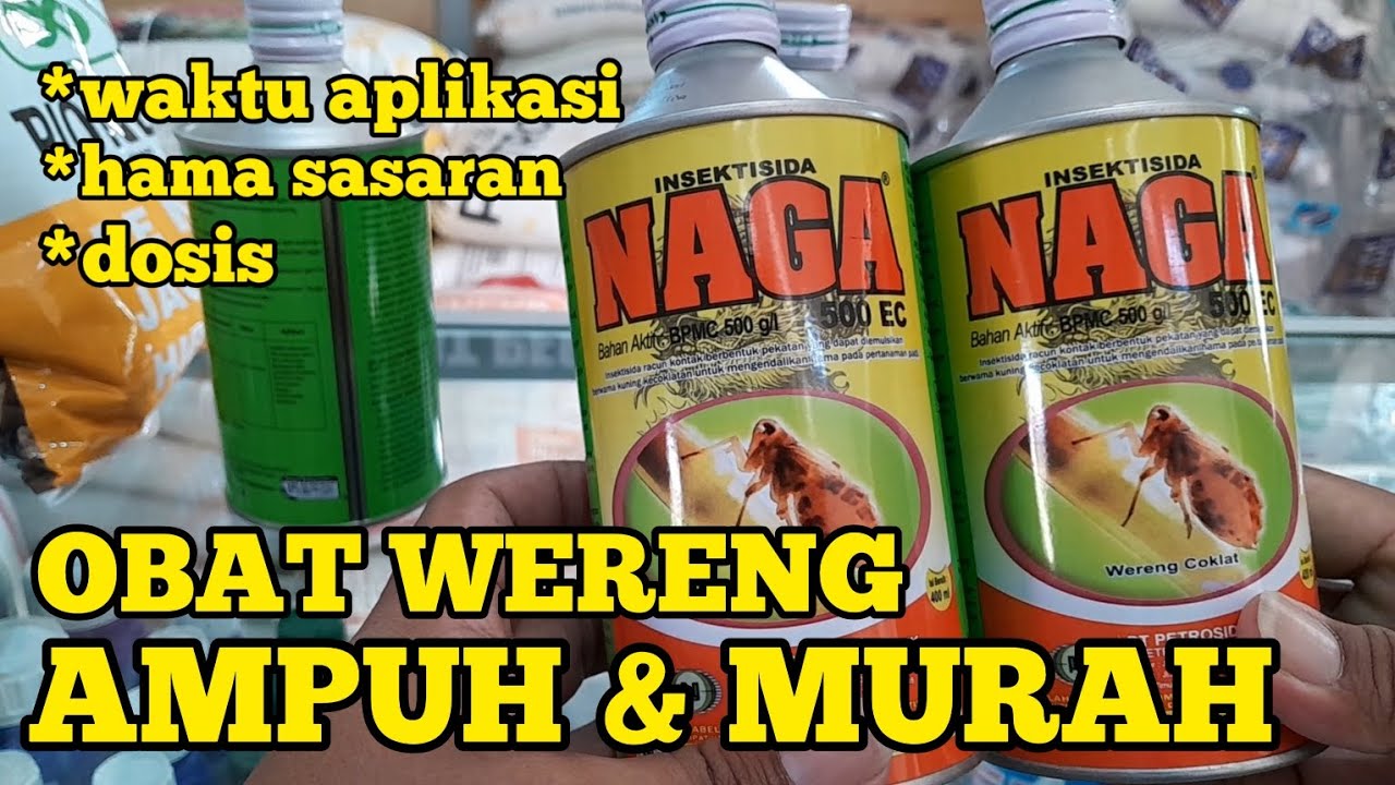 SOLUSI BASMI WERENG HEMAT BIAYA. NAGA 500EC MURAH..!!