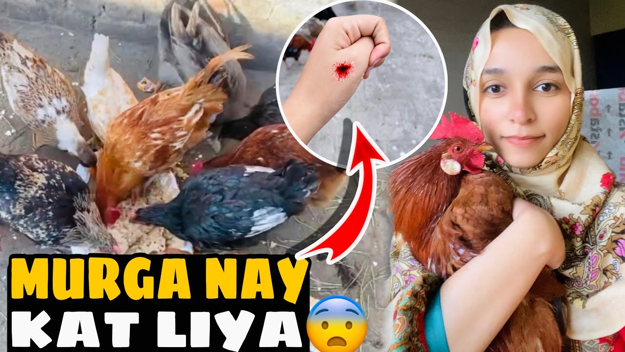 😨Murgay Nay Hath Par Khat Liya😭🫤| GhulamZahra | ChotuGang#ghulamzahraa #dietitianghulamzahra