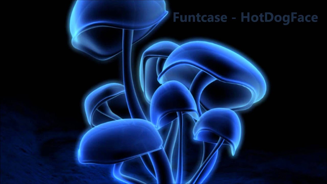 Funtcase - HotDogFace