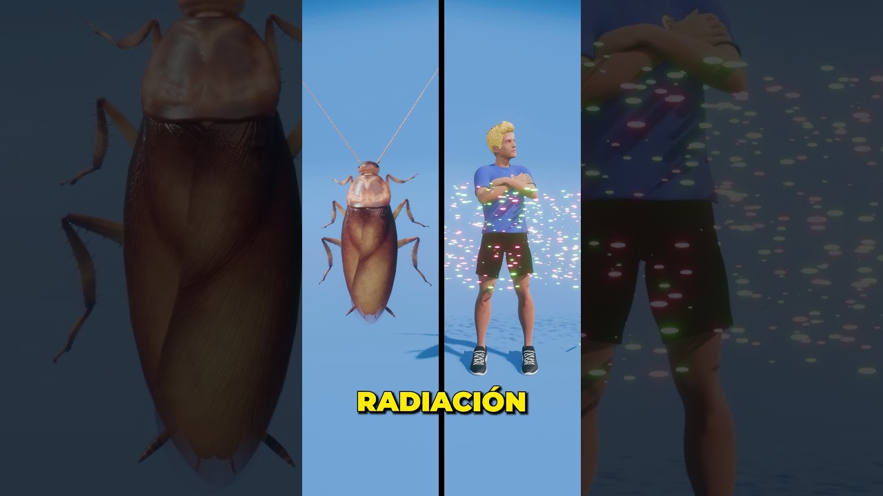 &iquest;Qu&eacute; tan resistentes son las cucarachas?