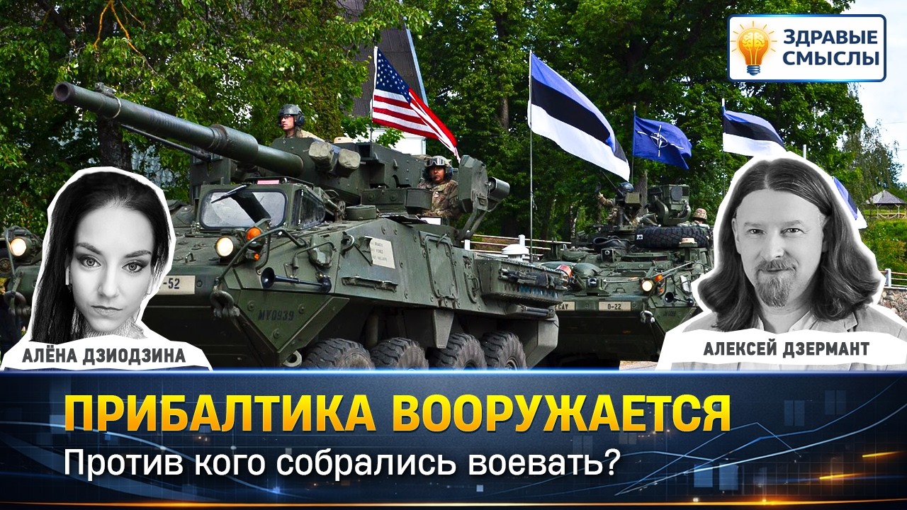 Прибалтика вооружается. Против кого собрались воевать? | ЗДРАВЫЕ СМЫСЛЫ
