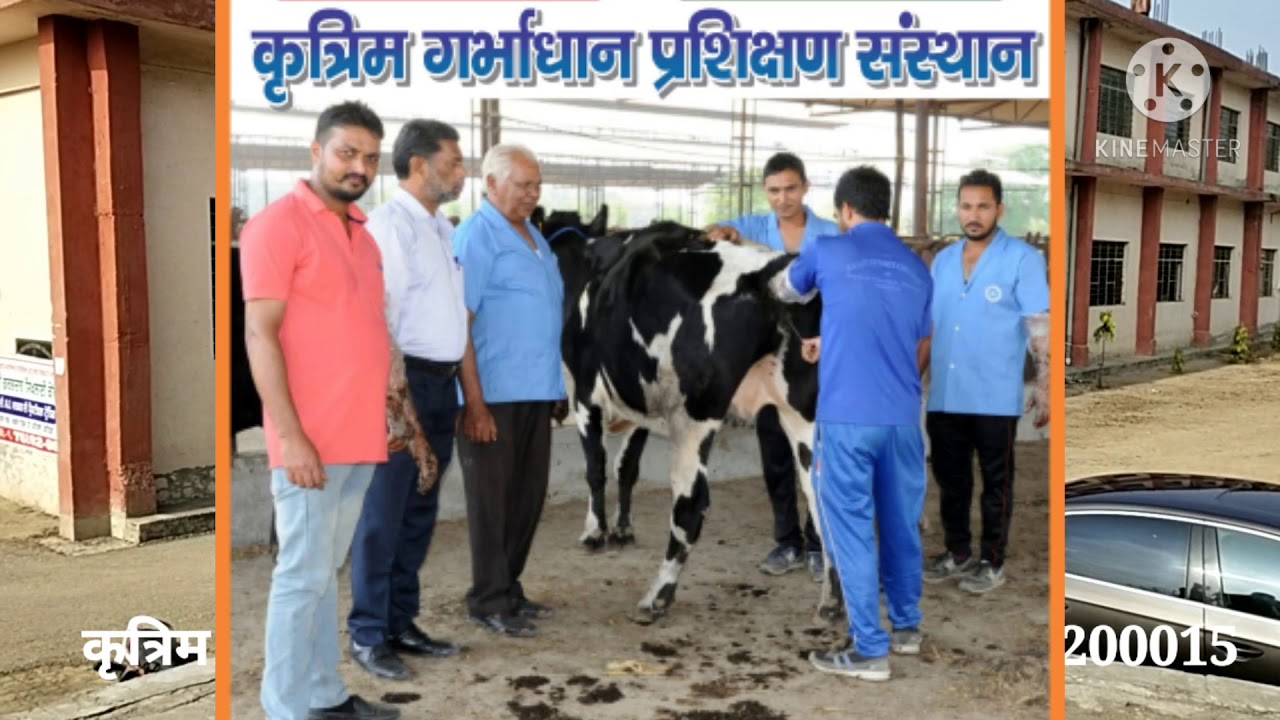 artificial insemination course Ai college Bathinda india
