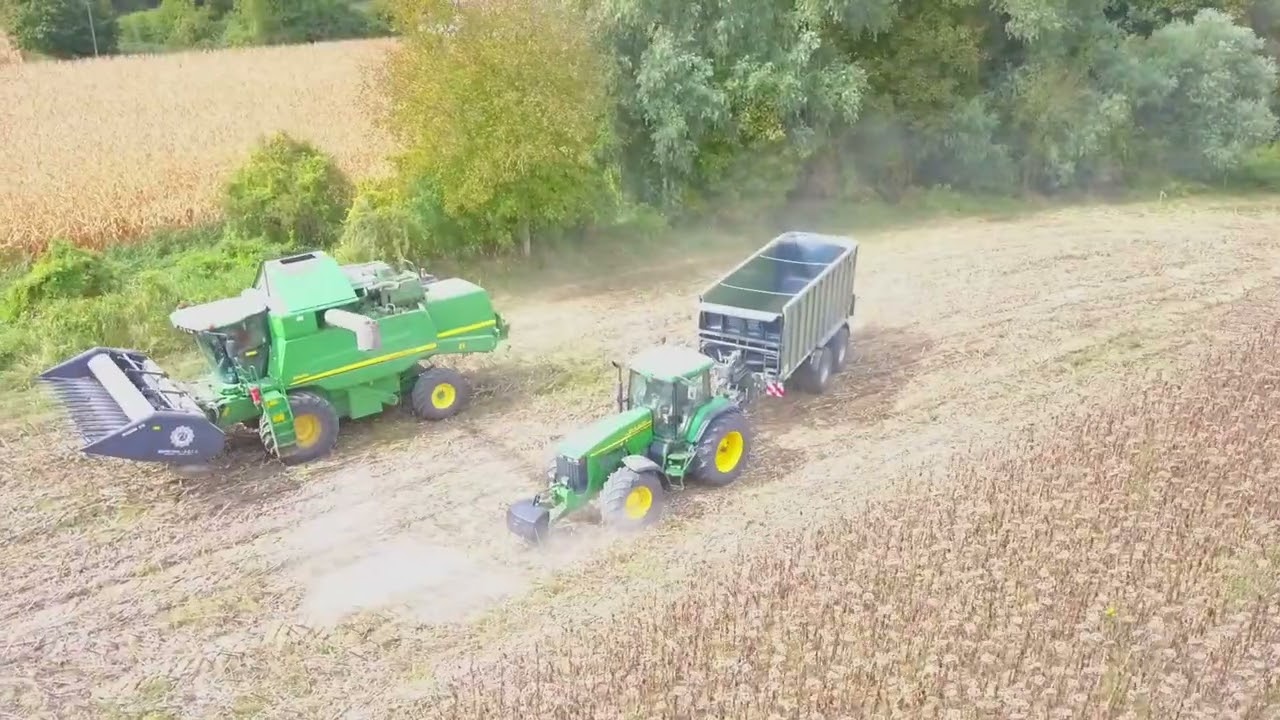Napraforgó aratás Kisbárapáti