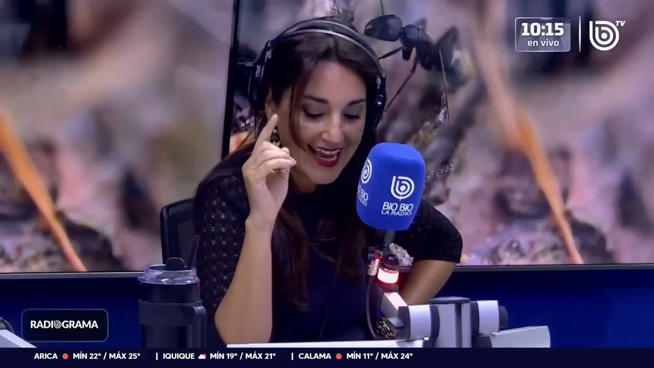 La distendida conversación entre los conductores de Radiograma y el Expreso Bio Bio: Las hormigas