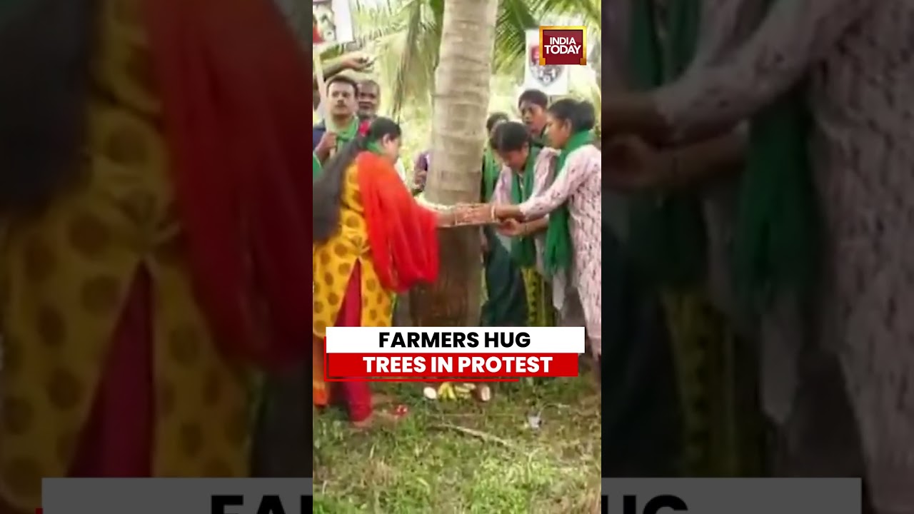 Farmers Hug Areca Nut Trees To Protest Against Proposed Bidadi Township Project In Karnataka #shorts