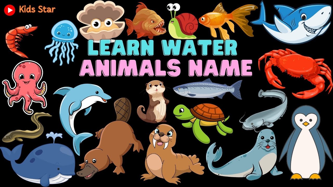 WATER ANIMALS NAME | BELAJAR NAMA HEWAN YANG HIDUP DI AIR | BELAJAR NAMA-NAMA BINATANG