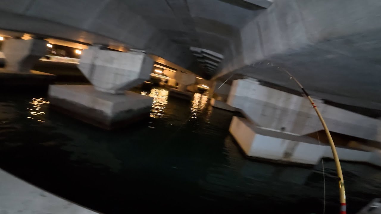 香港釣魚 前打 落込 2025釣行記錄-秋之1