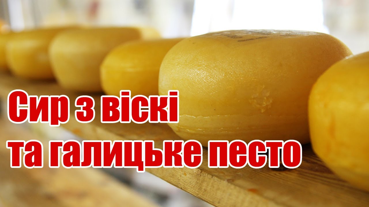 Гарбузовий рай, Мукко, Джерсей – сироварні Львівщини /Молочні ферми Прикарпаття/ Куркуль